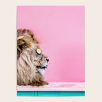 Lion in the Bathtub Poster Gallery Image 4