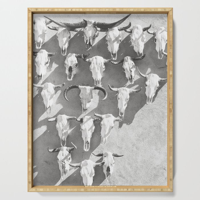Cow Skulls - West Texas Black and White Photography Serving Tray Gallery Image 1