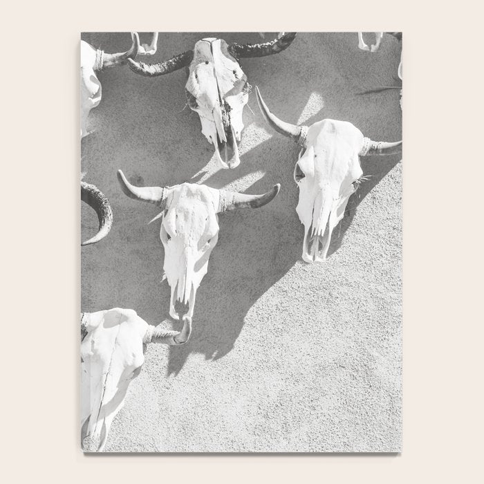 Cow Skulls - West Texas Black and White Photography Notebook Gallery Image 4