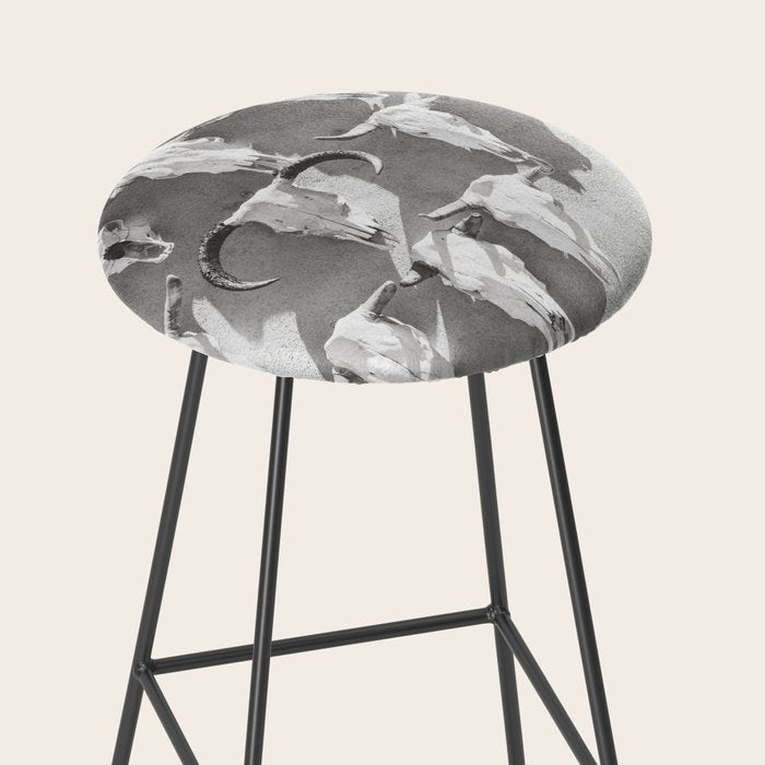 Cow Skulls - West Texas Black and White Photography Stool Gallery Image 2
