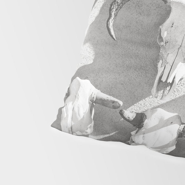Cow Skulls - West Texas Black and White Photography Pillow Sham Gallery Image 4