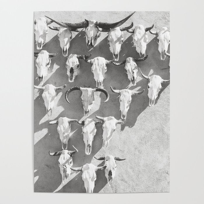 Cow Skulls - West Texas Black and White Photography Poster Gallery Image 4