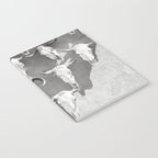 Cow Skulls - West Texas Black and White Photography Notebook Gallery Image 2