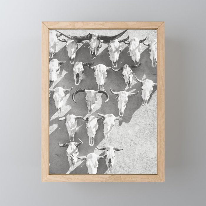 Cow Skulls - West Texas Black and White Photography Mini Art Print Gallery Image 1