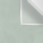 Light Sage Green Solid Wall Tapestry Gallery Image 3