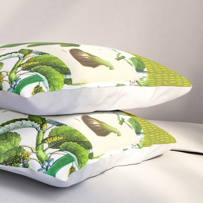 Green Botanical by Pam Smilow Pillow Sham Gallery Image 3