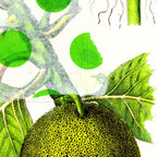 Green Botanical by Pam Smilow Coffee Mug Gallery Image 2
