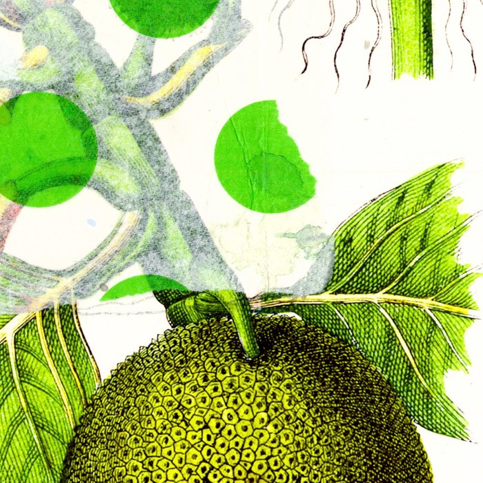 Green Botanical by Pam Smilow Coffee Mug Gallery Image 2