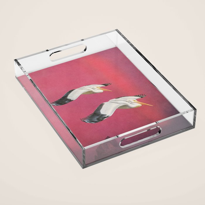 Pelicans in Space Acrylic Tray Gallery Image 1