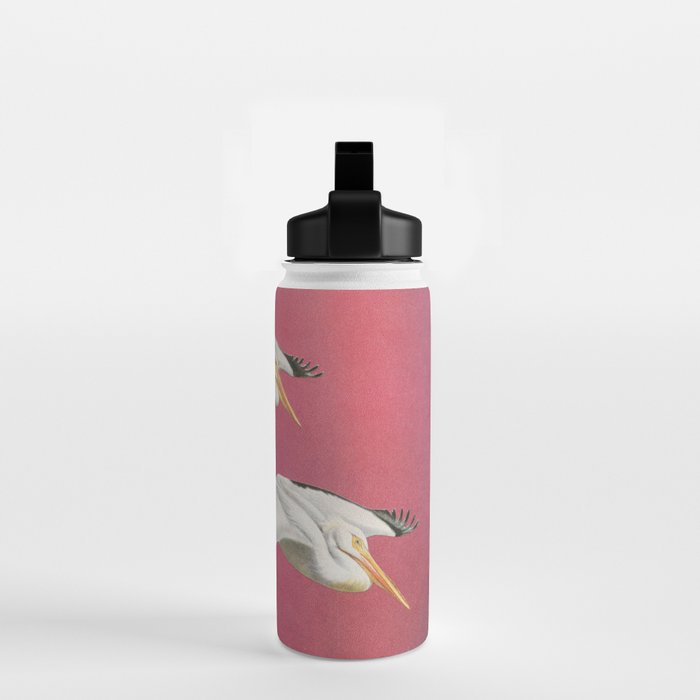 Pelicans in Space Water Bottle Gallery Image 2