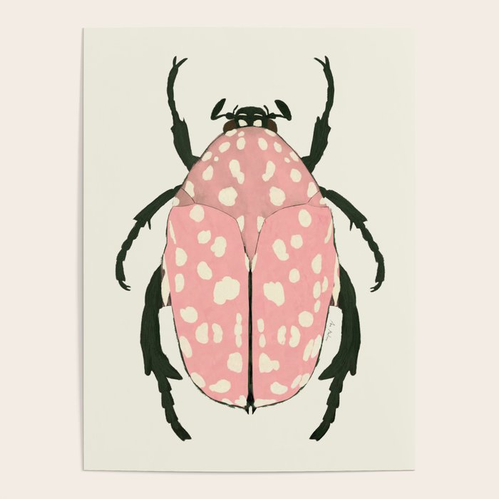 pink beetle insect Poster Gallery Image 1