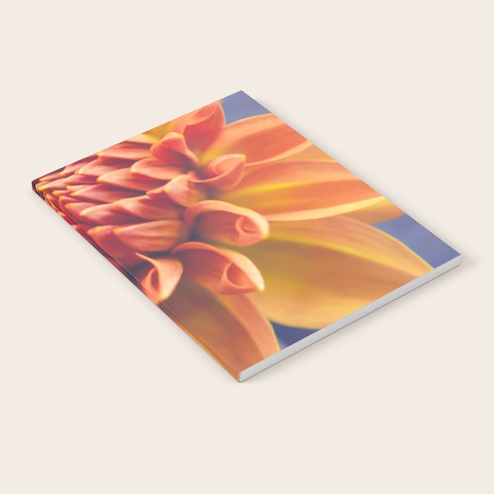 Confident Notebook Gallery Image 1