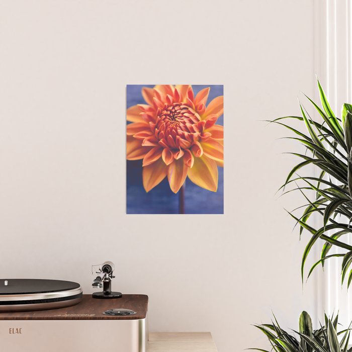 Confident Poster Gallery Image 2