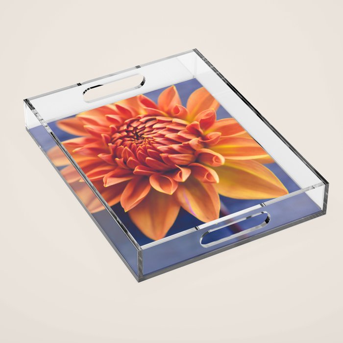 Confident Acrylic Tray Gallery Image 1