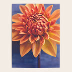 Confident Poster Gallery Image 4