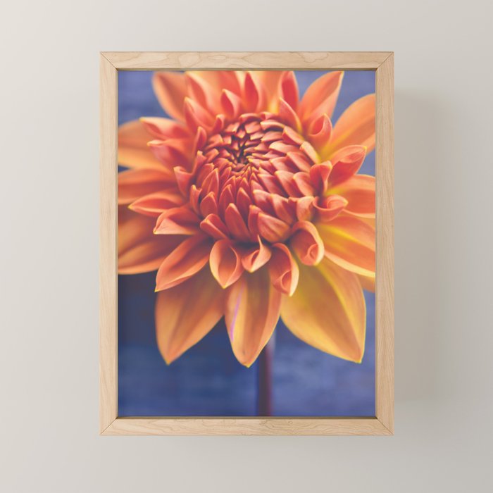 Confident Mini Art Print Gallery Image 1