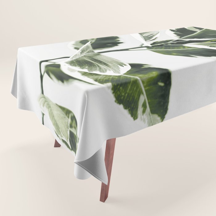 Ficus  Tablecloth Gallery Image 1