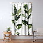 Ficus  Window Curtain Gallery Image 5