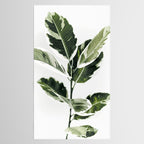 Ficus  Tablecloth Gallery Image 2