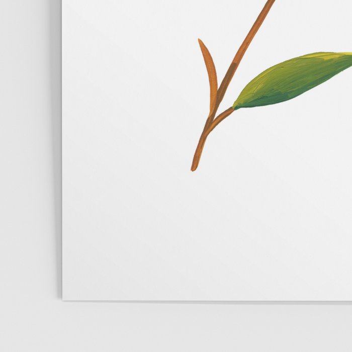 Summer Pear Poster Gallery Image 3