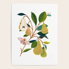 Summer Pear Poster Gallery Image 4