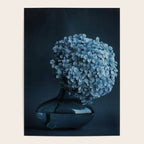 Flowers - Dark Blue Hydrangea Still Life Poster Gallery Image 4