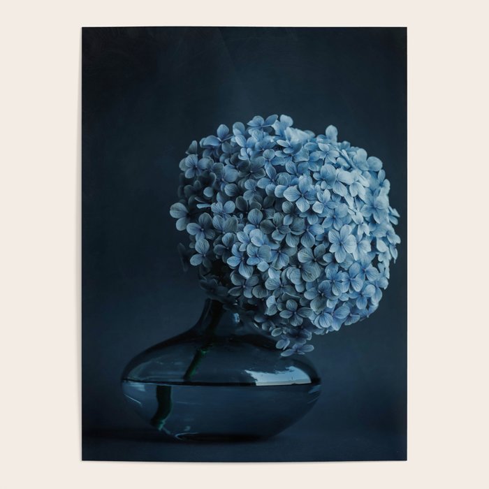 Flowers - Dark Blue Hydrangea Still Life Poster Gallery Image 1