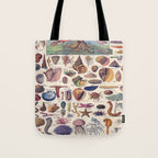 Adolphe Millot Mollusques Larousse Vintage Scientific Encyclopedia Illustration Lithograph Ocean  Tote Bag Gallery Image 1