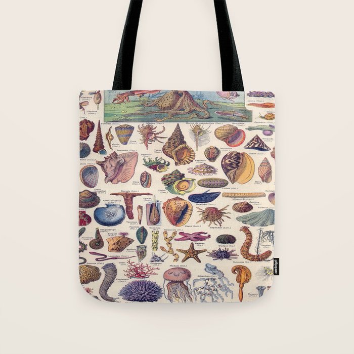 Adolphe Millot Mollusques Larousse Vintage Scientific Encyclopedia Illustration Lithograph Ocean  Tote Bag Gallery Image 1