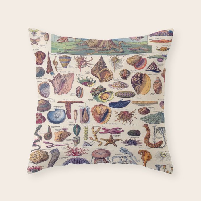 Adolphe Millot Mollusques Larousse Vintage Scientific Encyclopedia Illustration Lithograph Ocean  Throw Pillow Gallery Image 6