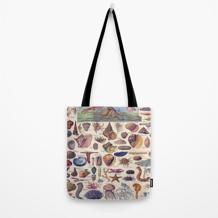 Adolphe Millot Mollusques Larousse Vintage Scientific Encyclopedia Illustration Lithograph Ocean  Tote Bag Gallery Image 2