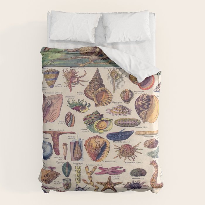 Adolphe Millot Mollusques Larousse Vintage Scientific Encyclopedia Illustration Lithograph Ocean  Duvet Cover Gallery Image 1