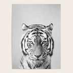 Tiger - Black & White Poster Gallery Image 4