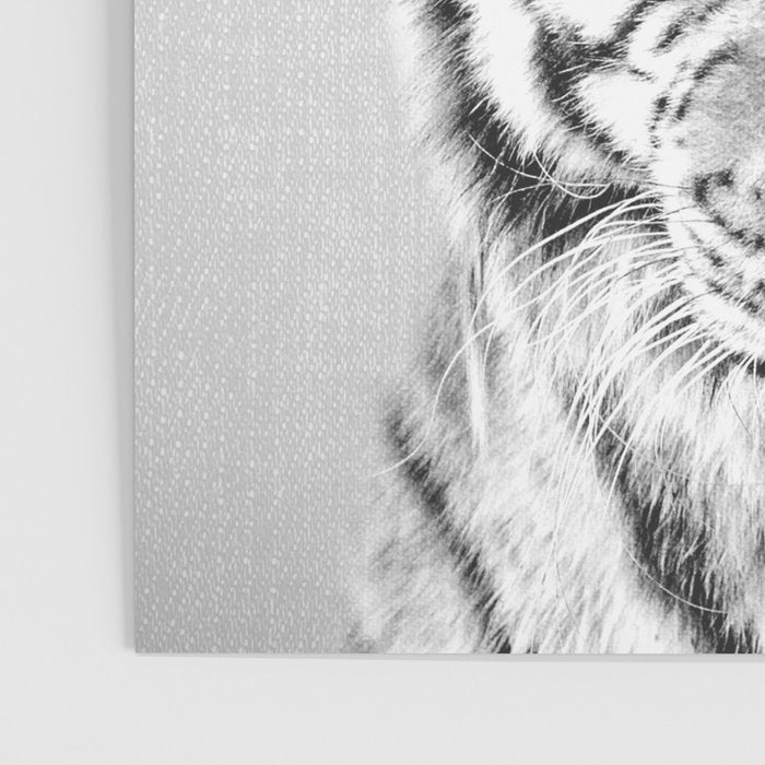 Tiger - Black & White Poster Gallery Image 3