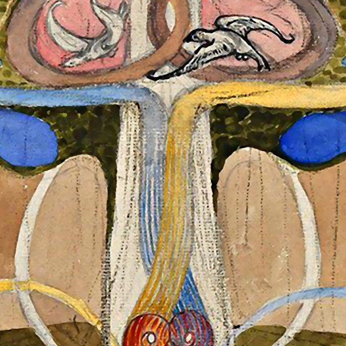 Hilma af Klint "Tree of Knowledge No. 1" Coffee Mug Gallery Image 2