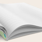 Luna Moth Notebook Gallery Image 2
