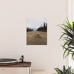 Road Fox Poster Gallery Image 2