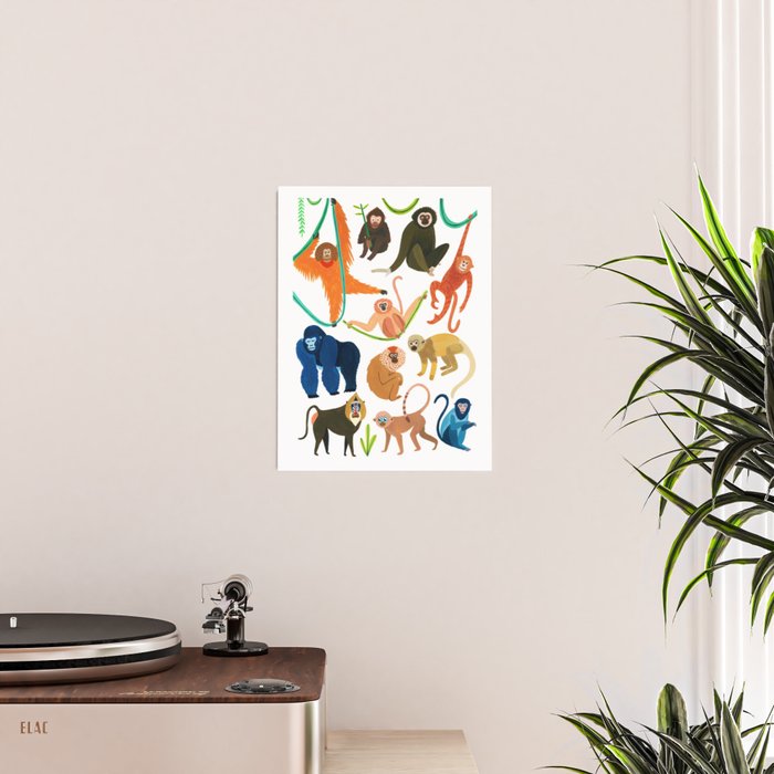 Jungle Monkeys Poster Gallery Image 2