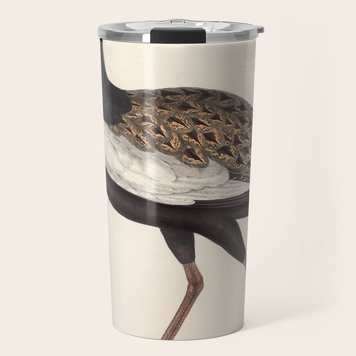 Himalayan bustard by Elizabeth Gould from "A Century of Birds from the Himalaya Mountains," 1831 Travel Mug Gallery Image 1