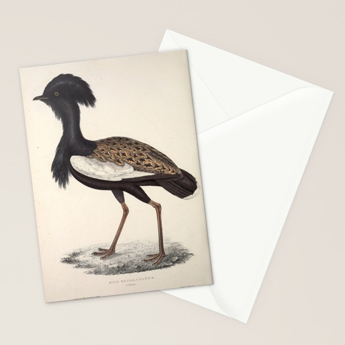 Himalayan bustard by Elizabeth Gould from "A Century of Birds from the Himalaya Mountains," 1831 Stationery Card Gallery Image 2