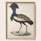 Himalayan bustard by Elizabeth Gould from "A Century of Birds from the Himalaya Mountains," 1831 Serving Tray Gallery Image 1