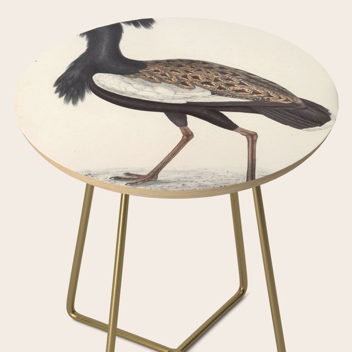 Himalayan bustard by Elizabeth Gould from "A Century of Birds from the Himalaya Mountains," 1831 Side Table Gallery Image 2