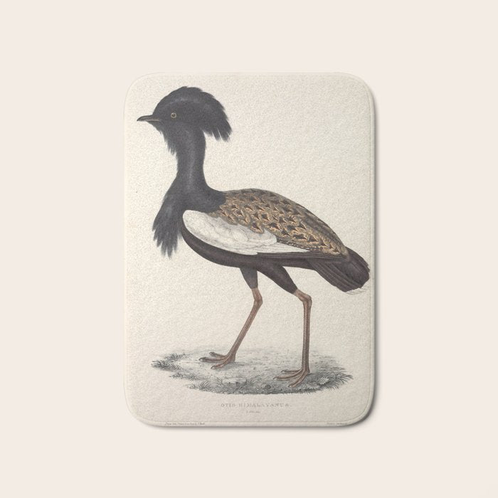 Himalayan bustard by Elizabeth Gould from "A Century of Birds from the Himalaya Mountains," 1831 Bath Mat Gallery Image 1