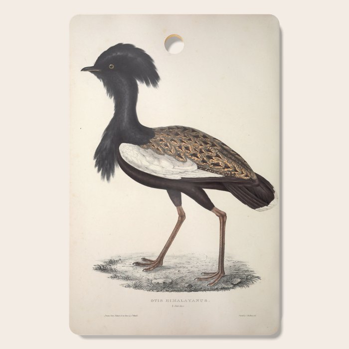 Himalayan bustard by Elizabeth Gould from "A Century of Birds from the Himalaya Mountains," 1831 Cutting Board Gallery Image 1