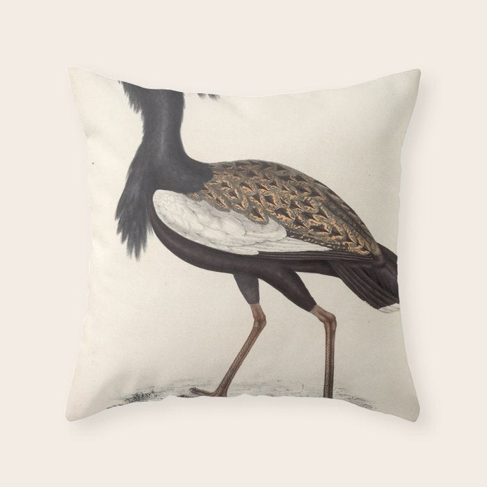 Himalayan bustard by Elizabeth Gould from "A Century of Birds from the Himalaya Mountains," 1831 Throw Pillow Gallery Image 1