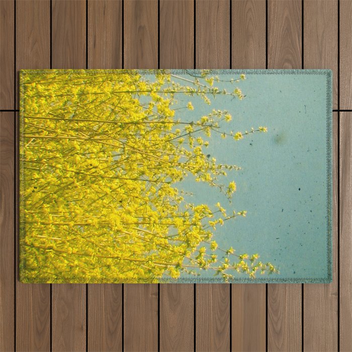 Summer Outdoor Rug Gallery Image 1