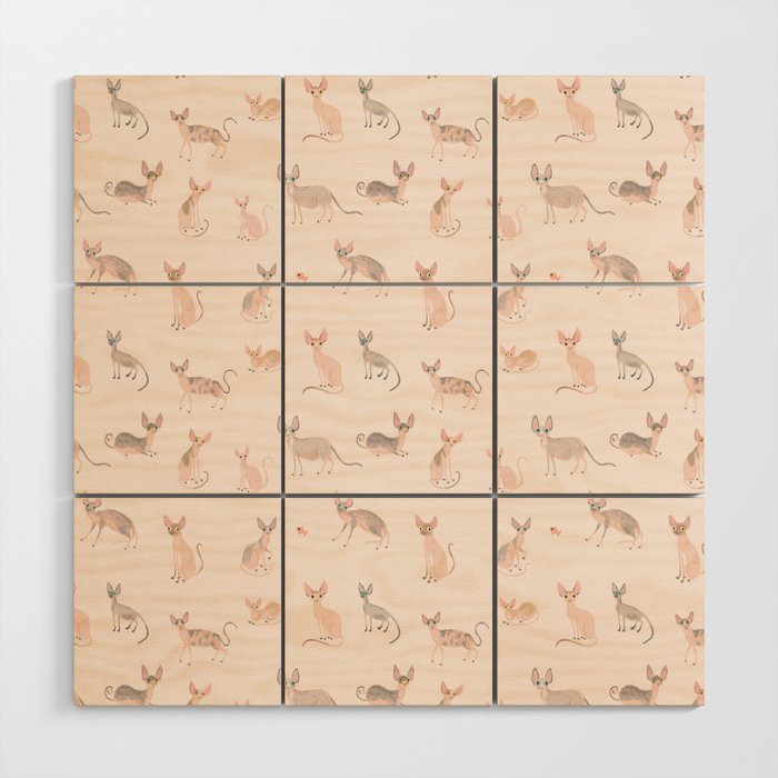Sphynx Cats - No Furr Don't Care - Cat Pink Wood Wall Art Gallery Image 1