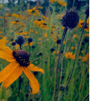 Flower Child Coffee Mug Gallery Image 2