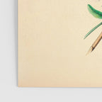 Wildflowers by Clarissa Munger Badger, 1859 (benefitting The Nature Conservancy) Poster Gallery Image 3