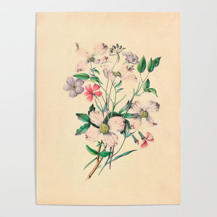  Wildflowers by Clarissa Munger Badger, 1859 (benefitting The Nature Conservancy) Poster Gallery Image 4